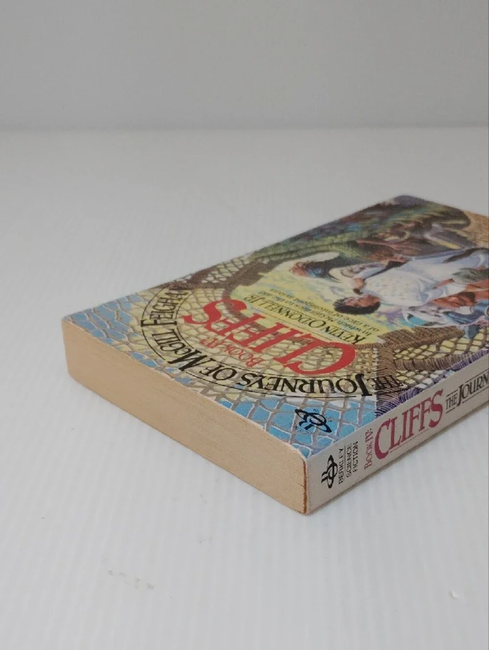 8 For $8 Journeys of McGill Feighan: Cliffs - White Book Cover